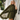 Teagan x Vestique