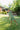 #color_blue/green