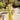 #color_yellow