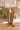 Belvin Boots