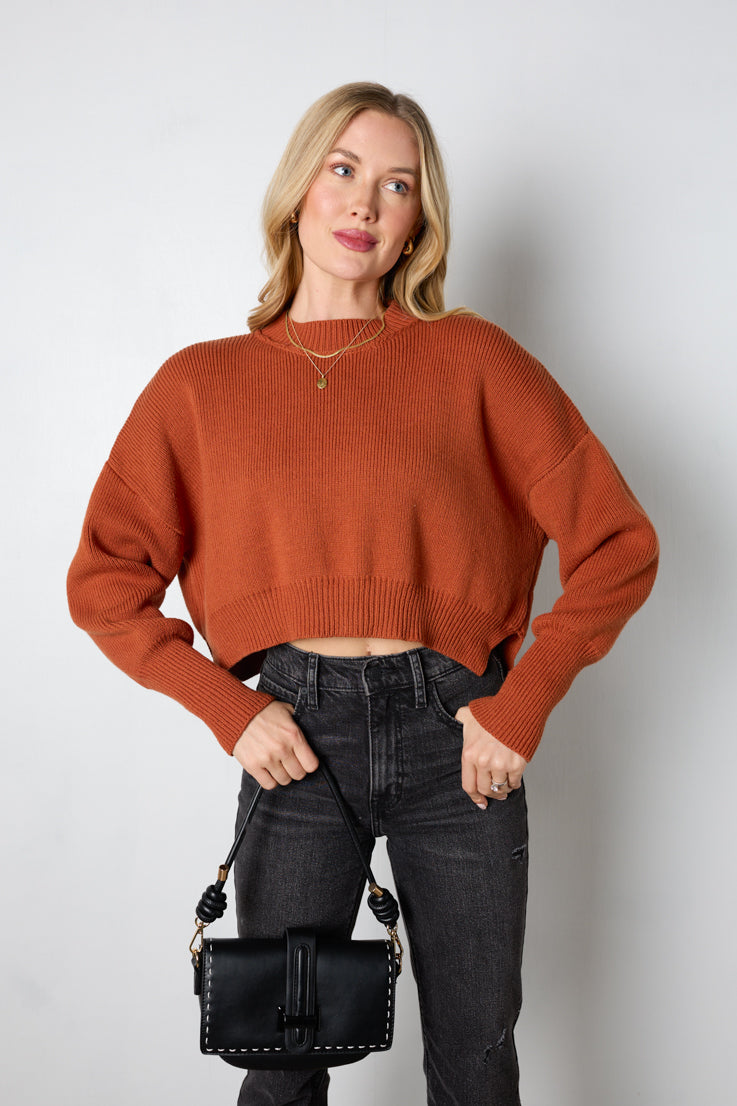 brown cropped sweater