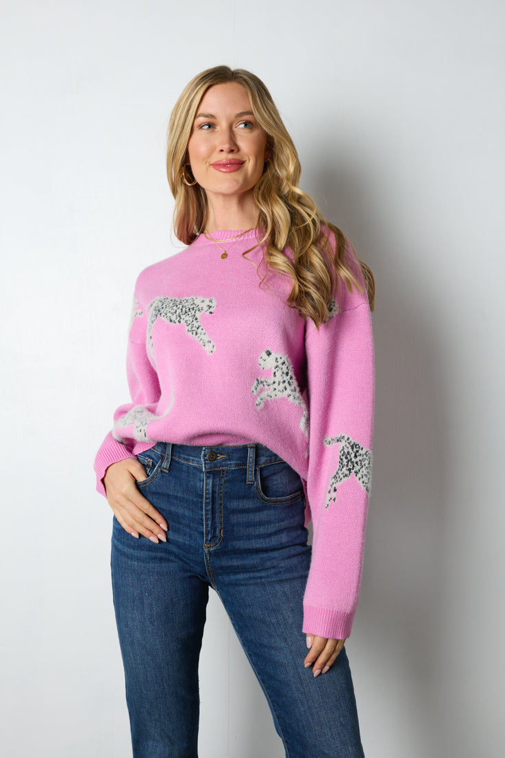 orchid cheetah sweater