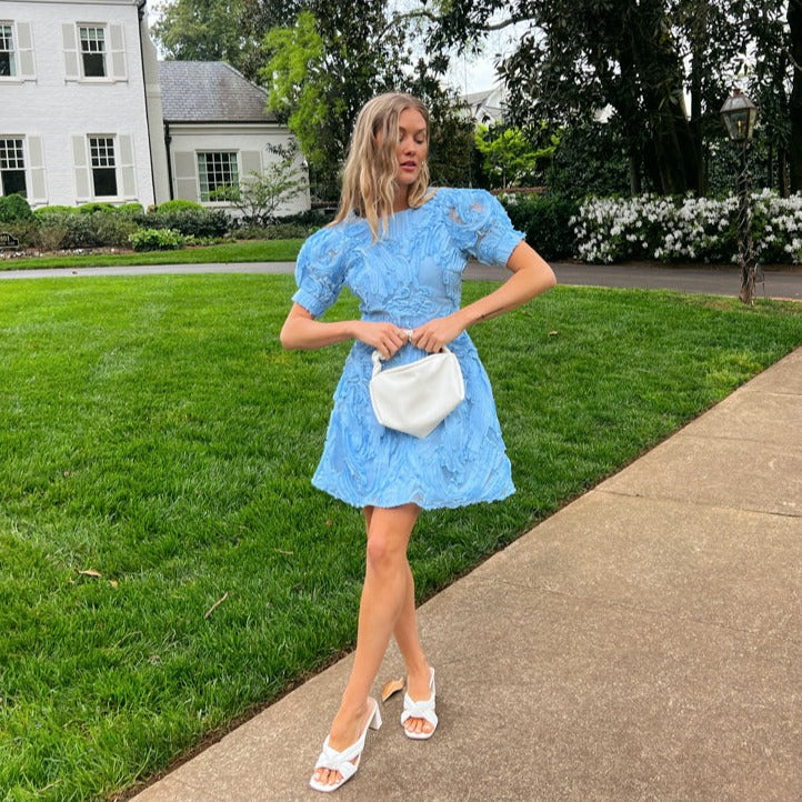 Bluebird Day Dress Bluebird Day Dress