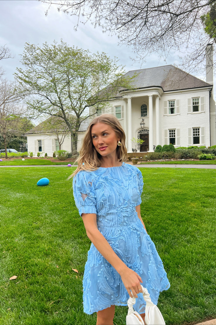 Bluebird Day Dress Vestique Bluebird Day Dress Vestique